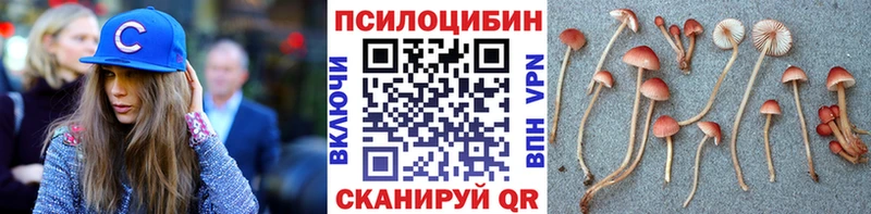 Галлюциногенные грибы Psilocybine cubensis  Карталы 